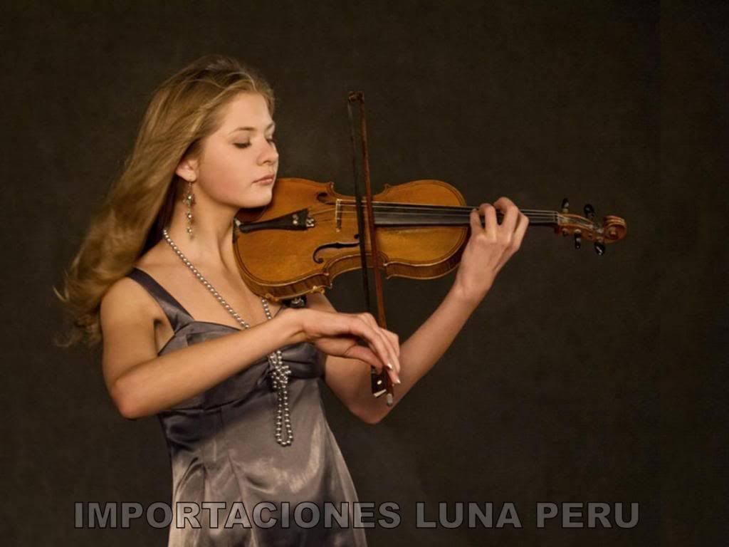 violin profesional