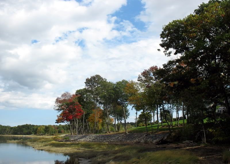 IMAGE: http://i419.photobucket.com/albums/pp280/Biffarama/IMG_6797.jpg