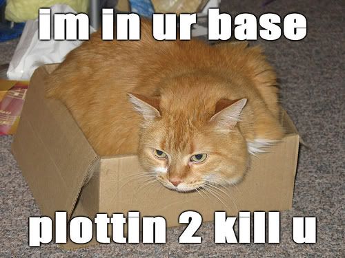 [Image: 425162394_1cb70d7f1c.jpg]