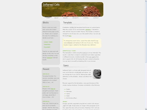 CSS Soft Grey Ocean Shells Web2.0 Template
