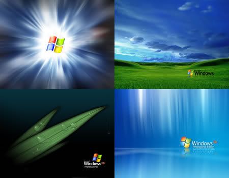 wallpaper xp windows. hot Windows XP Broken Screen