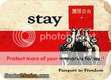 stay